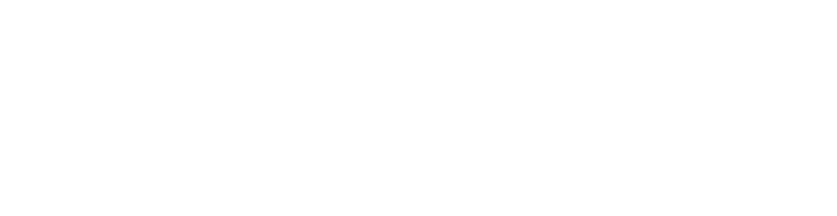 leading-insight-logo-redesigned-white